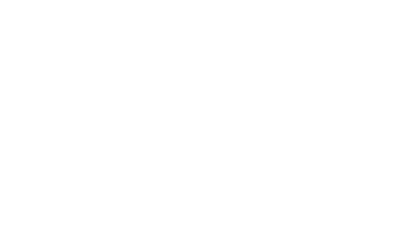 NFL logo